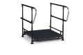Large back half step with double handrails