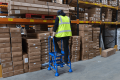 Step Ladder with Platform and Handrails - 2 Steps