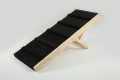 Adjusted dog ramp