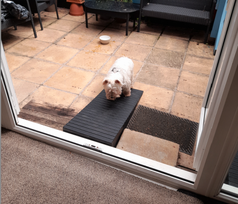 Dog ramp