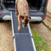 Luxury Telescopic Pet / Dog Ramp (1800mm x 430mm x 90kg capacity)
