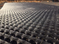 Trackguard mat surface