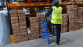 Step Ladder with Platform and Handrails - 3 Steps - Assembled
