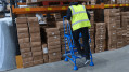 Step Ladder with Platform and Handrails - 3 Steps - Assembled
