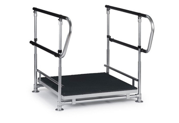 Half step with double handrails