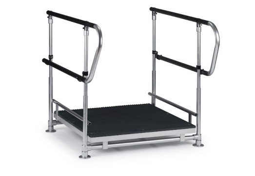 Half step with double handrails