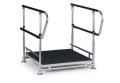 Half step with double handrails
