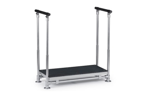Half step with double handrails