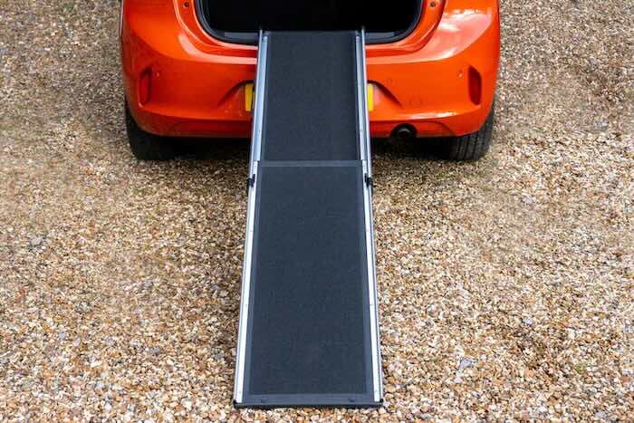 Dog ramp resting on car boot