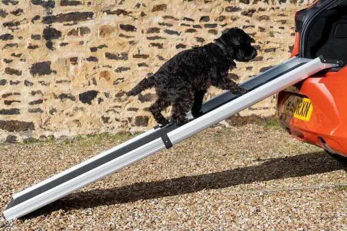 Telescopic Dog ramp for car boot